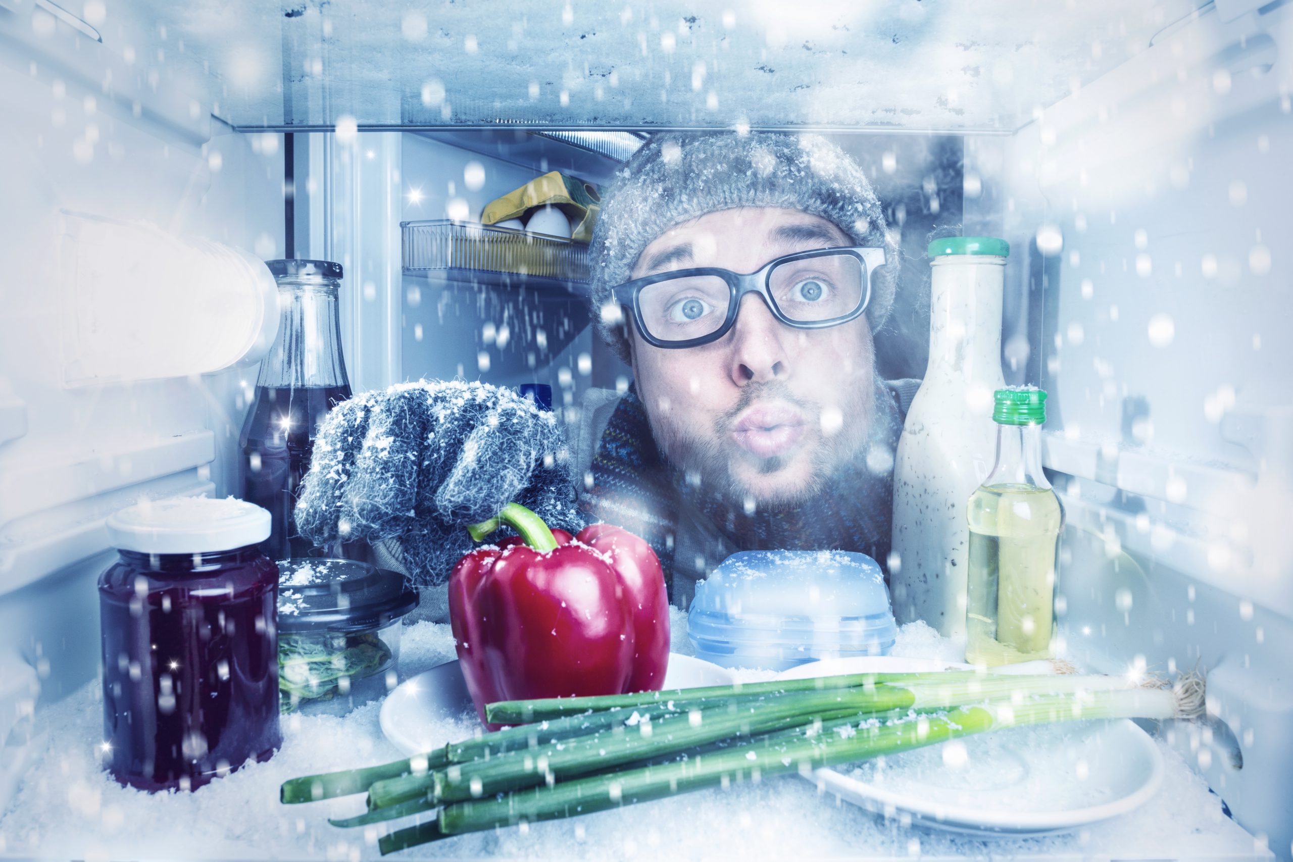 Winterizing Your Garage or Outdoor Refrigerator Appliance Master